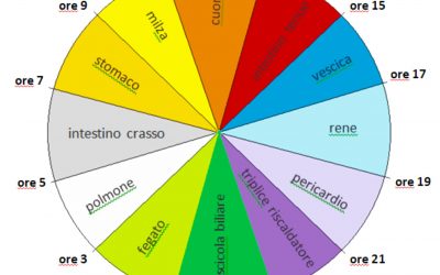 L’Orologio dei nostri Organi Interni