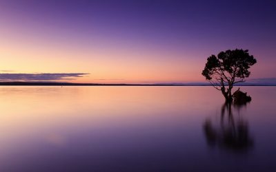 MINDFULNESS… CHE COS’è?