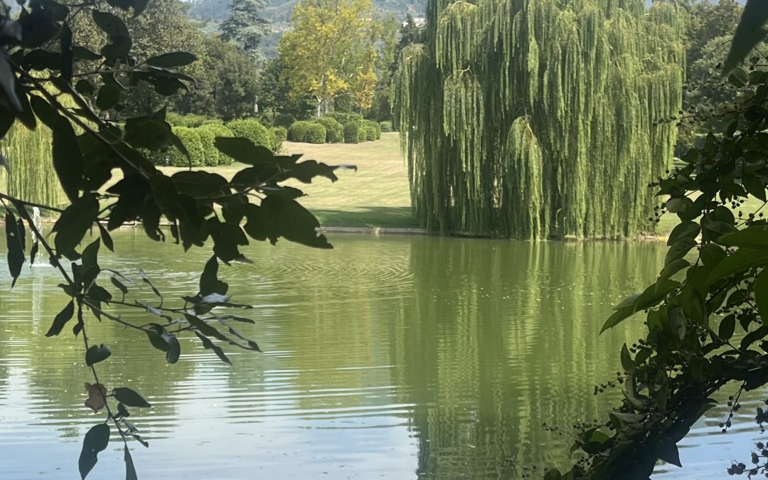 Mindfulness …corpo, suoni ed emozioni  23 settembre dalle h 19.30 alle 22.0